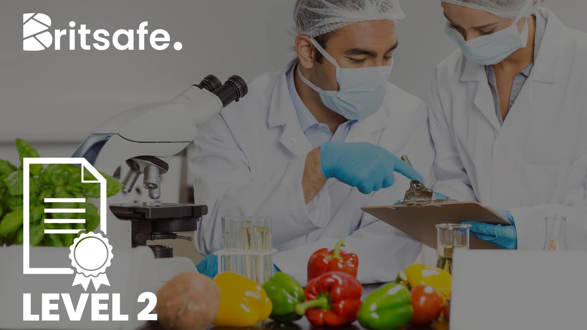 Britsafe Level 2 Award in Basic Food Safety and Hygiene